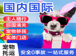 运城航空邮寄国际宠物托运 【国